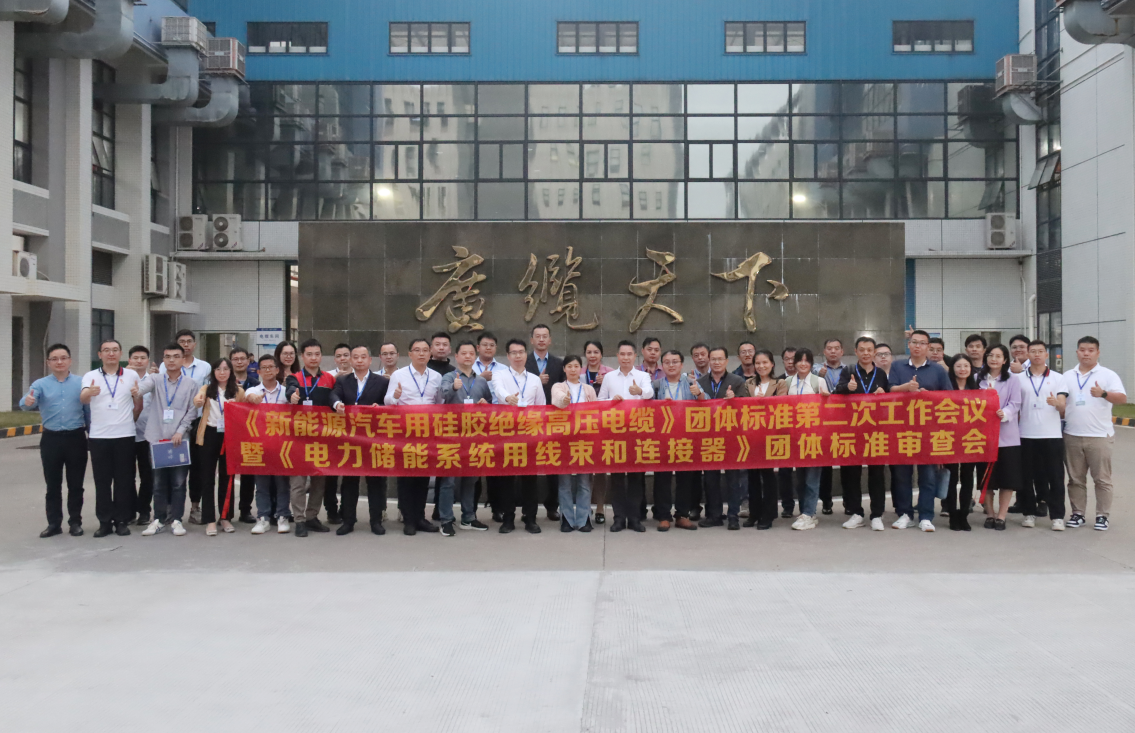 共促行業（yè）高質量發展|廣州（zhōu）電纜（lǎn）作為主要製定單位承辦團體標準工作會議（yì）