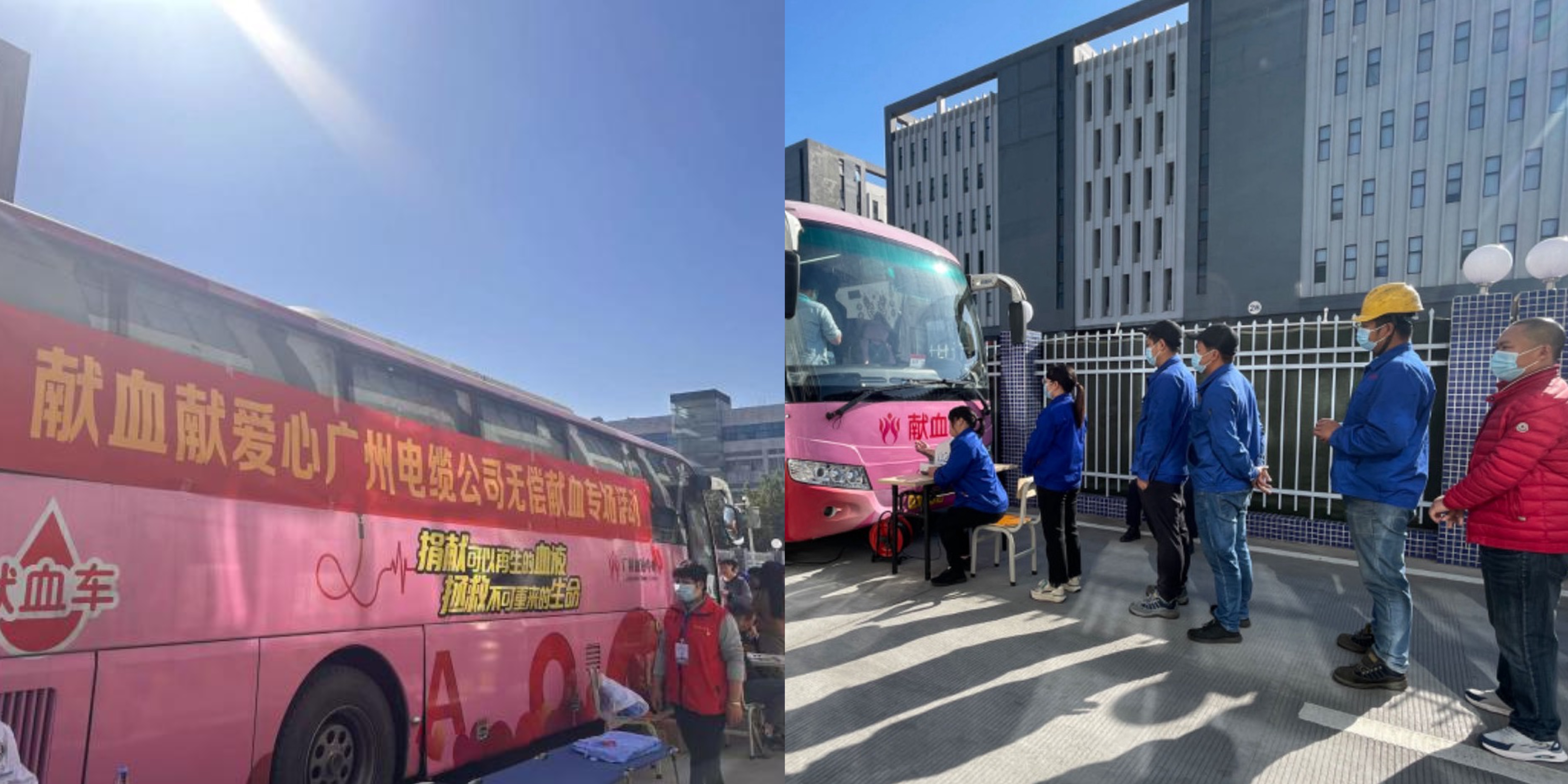 傳輸正能量|廣州電纜開展無償獻血專場活（huó）動